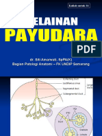 Kelainan Payudara