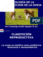 02 Aguilar Fisiologc3ada Reproductiva de La Oveja Pubertad y Parto