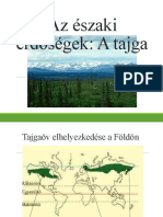 22.az Északi Erdőségek - Tajga
