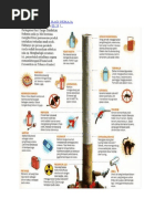 Download Bahaya Merokok Bagi Remaja by   SN55623622 doc pdf