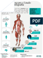 Infografia Anatomia