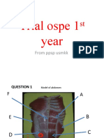 Trial Ospe 1 Year: From PPSP Usmkk