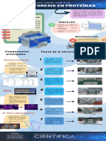 Electroforesis en Proteínas