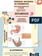 Estomago - Compressed