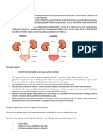 infectii-urinare-2