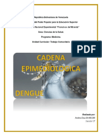 Cadena Epimediologica Dengue