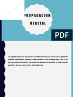 PROPAGACION