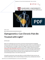Optogenetics - Can Chronic Pain Be Treated With Light - Science in The News