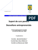 Suport de Curs Antreprenoriat