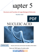 Chapter 5 - Nucleic Acid
