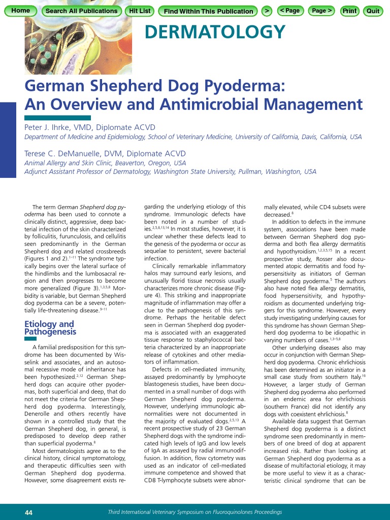 Bayer 3rd Proc'99 IHRKE PDF Inflammation Allergy