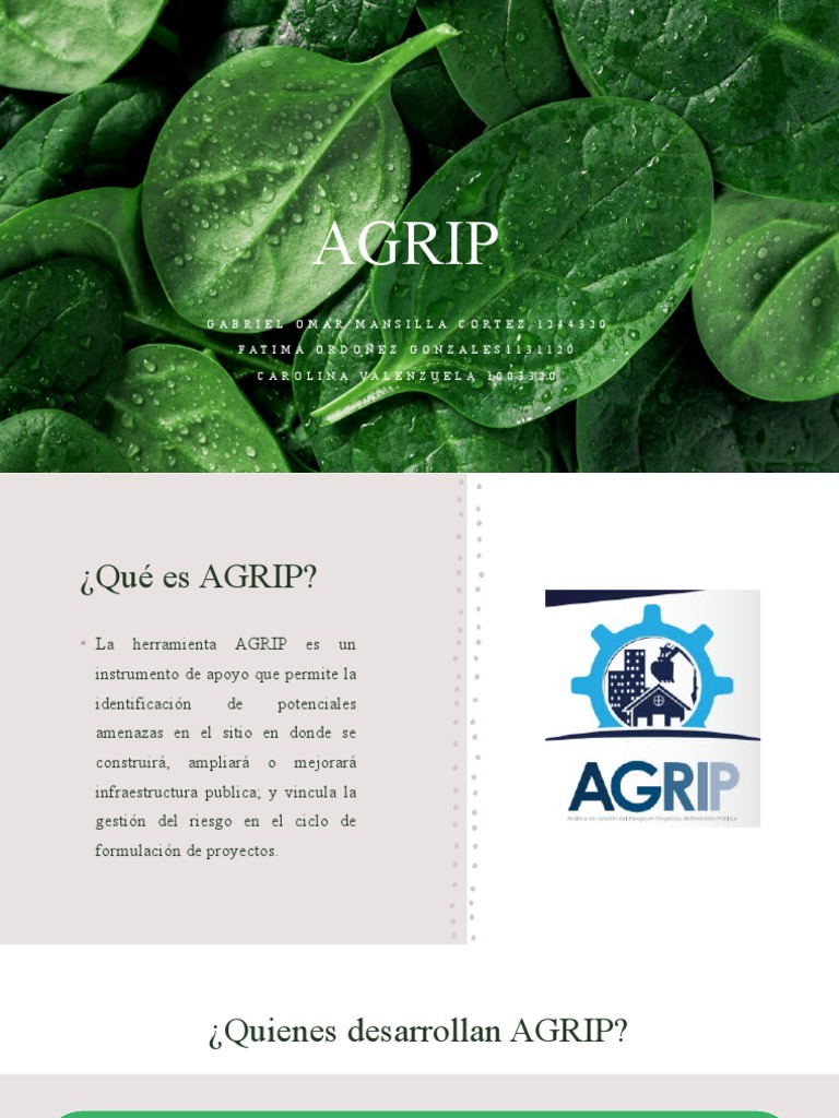 Qué es AGRIP y su aplicación en obras | PDF | Negocios