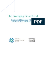 The Emerging Smart Grid