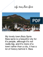My Lovely Town, Baia-Sprie