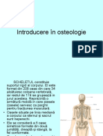 Curs 2. Introducere in Osteologie