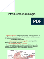 Curs 4. Introducere in Miologie