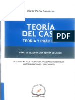 Libro Teoria Del Caso