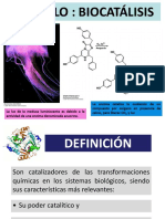 Clase-Tema 4-Biocatalisis