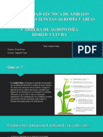 Analisis Foliar