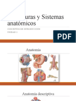 Estructuras y Sistemas Anatómicos, Primera Clase