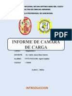 Informe de Camara de Carga - Ttito Poccori