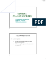 Cellular Respiration: 5.1 The Need For Energy in Living 5.2 Aerobic Respiration 5.3 Anaerobic Respiration