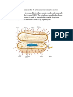 Structure Bacteria Have Nucleus But Do Have