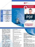 Triptico Salud Ocupacional y Ambiental PDF
