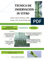 Tecnica de Conservacion in Vitro