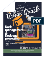 A Webinar on Duck Management and Duck Egg Processing