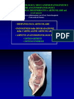 Cartilagine, aspetti fisiopatologici