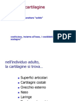 CARTILAGINE