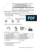 Soal Pts Ipa Kelas 6 Sem 1