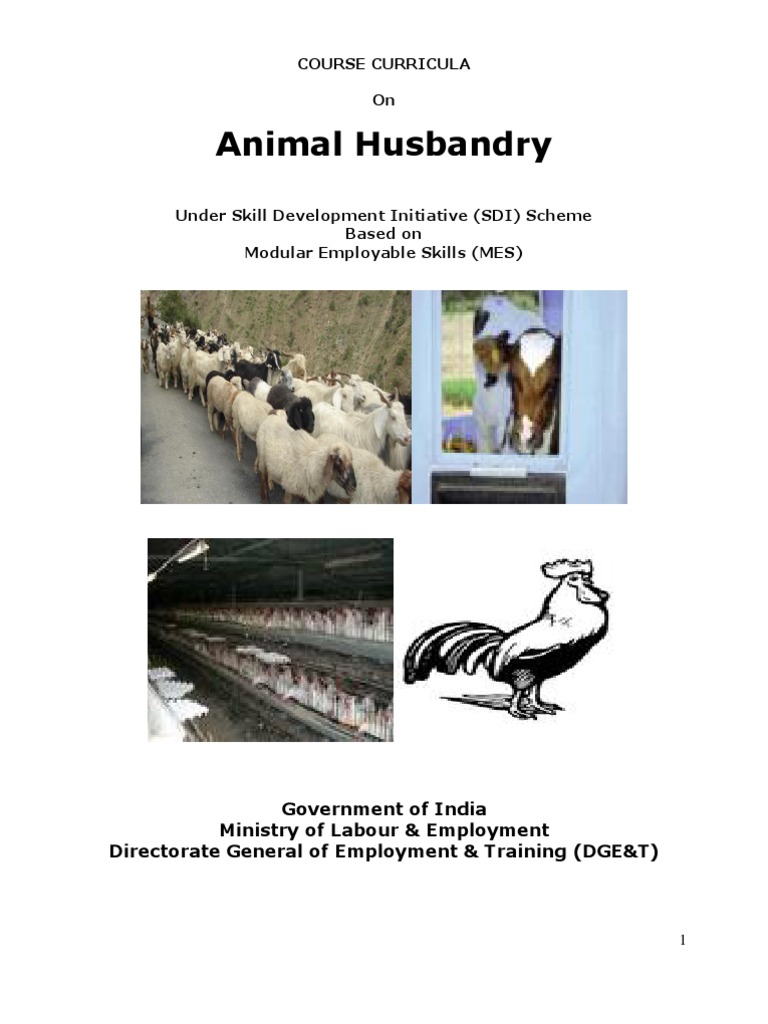 neco animal husbandry essay and objectives