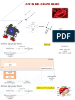 DEGRADACIÓN DEL GRUPO HEMO