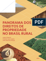 REL Panorama Dos Direitos de Propriedade No Brasil Rural 2021