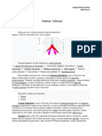 REFERAT - GINECOLOGIE, Clitorisul