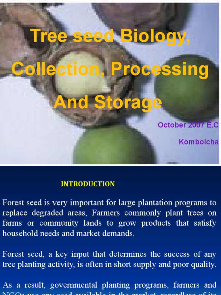 Tree Seed Collection and Storage Guide | PDF | Seed | Trees