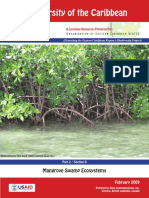Mangroves Notes