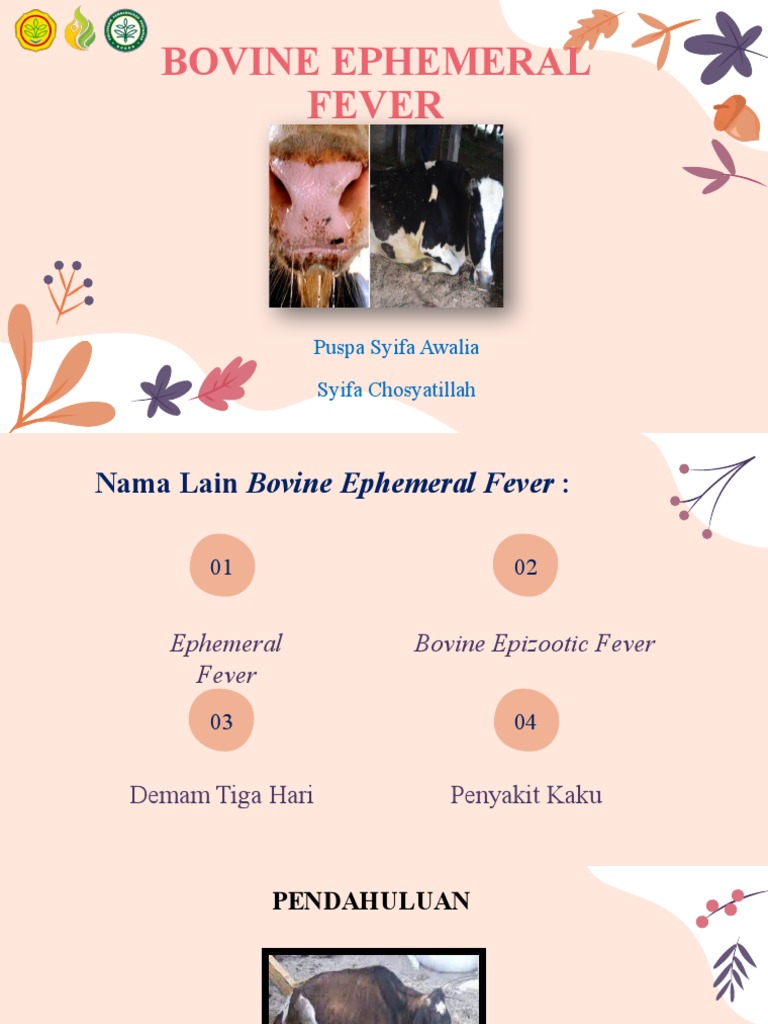 Bovine Ephemeral Fever Puspa Syifa Awalia Syifa Chosyatillah PDF