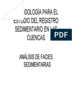 Facies Sedimentarias