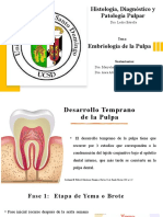 Diapositiva Histopatologia Oral