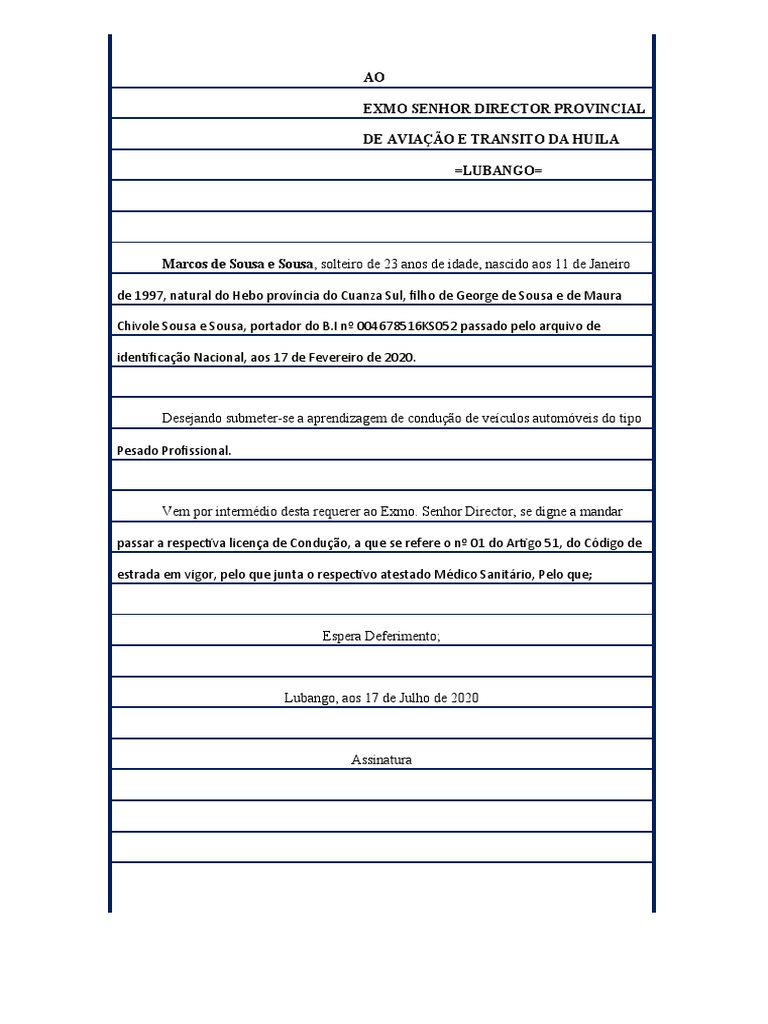 Requerimento Na Folha de 25 Linhas - Example | PDF
