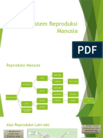 Sistem Reproduksi Manusia Kelas 9