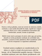 Acțiunea Poluanta A Alcanilor Asupra Organismului Și A Mediului