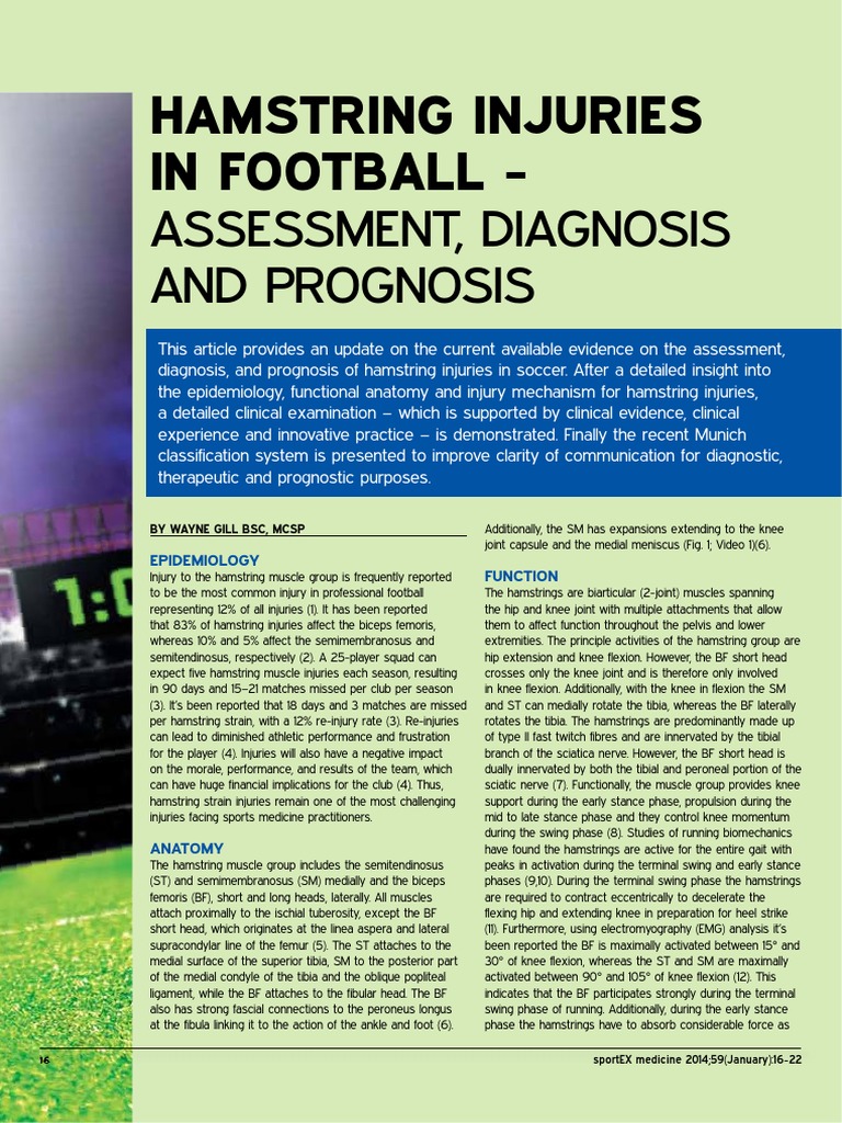 Hamstring Injuries in Football PDF Pelvis Knee