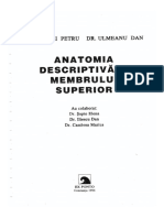 484402987 Anatomia Descriptiva a Membrului Superior