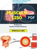 Slide Musculo Liso