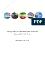 E ReRulation of Public Enterprises in Ethiopia