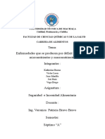 Informe Enfermedades Que Se Producen Por Déficit y Exceso de Micronutrientes y Macronutrientres